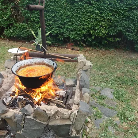 Majestic Apartmanhaz Badacsony Apartment Badacsonytomaj