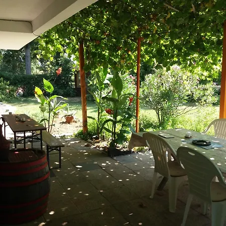 Majestic Badacsony Apartamento *